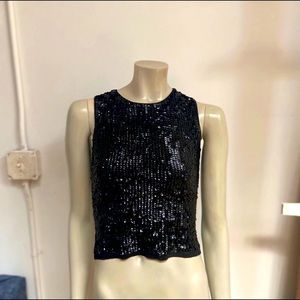 Silk Sequins Crew neck Top